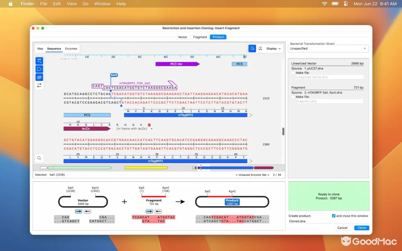 SnapGene 8.2.3 截图