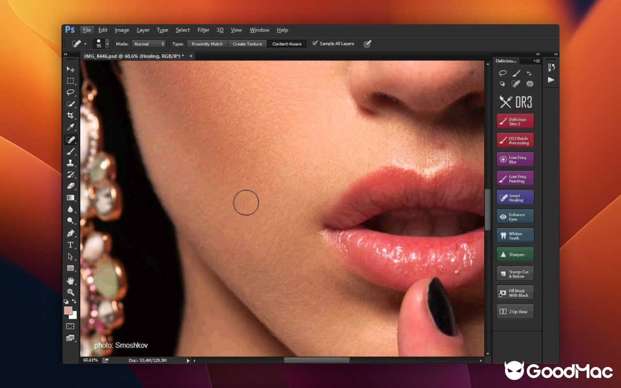 Delicious Retouch 5 v5.09