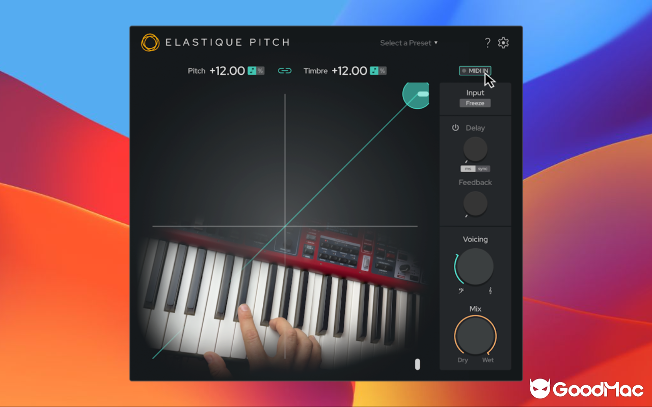 zplane elastiquePitch v2.5.0