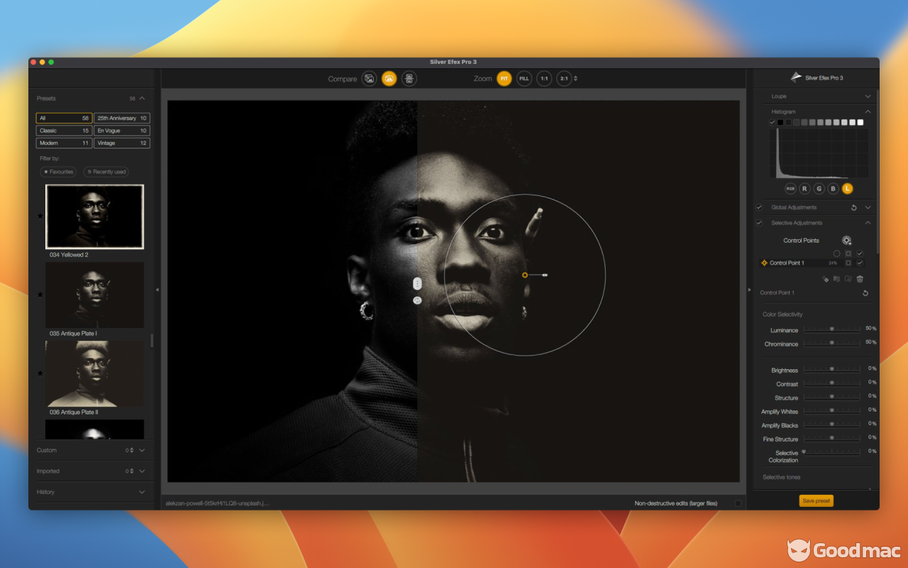 Nik Collection by DxO v6.13.0