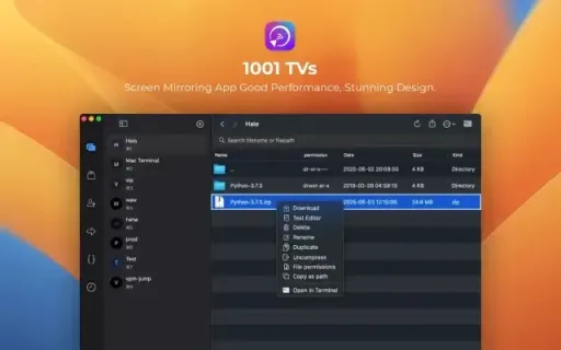 Nex Terminal 3.3.4