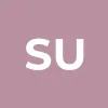 suixin1024