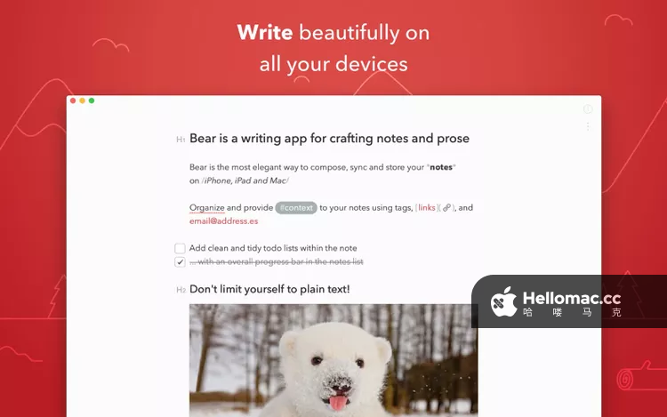 2025年备受青睐的19款Mac应用大盘点