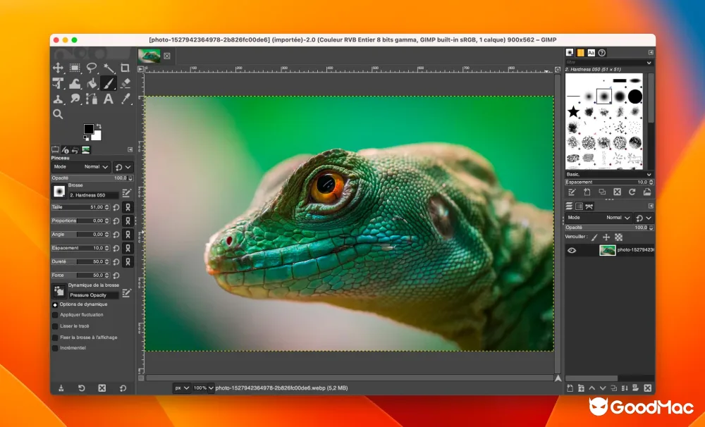 GIMP 3 macOS 图像编辑器界面